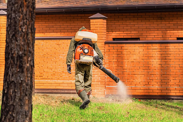 Bed Bug Clearance Verification and Documentation in Hicksville
